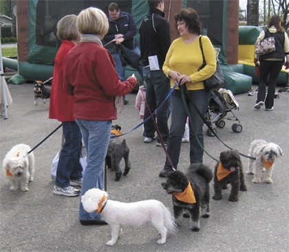 Walk a dog and help children overcome autism at the second annual Pet Walk for Autism