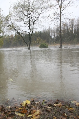 Snoqualmie's Sandy Cove Park was under several feet of water Friday morning