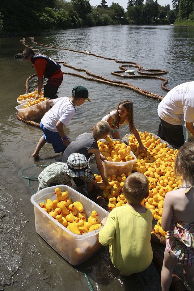 Children get into the act of helping wrap up the Duck Derby contest in Fall City. Thousands of rubber ducks cascade into the Snoqualmie River in the annual fundraiser
