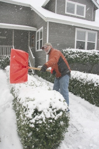Terry O’Brien of Snoqualmie scoops out his sidewalk after a snowy night on Thursday