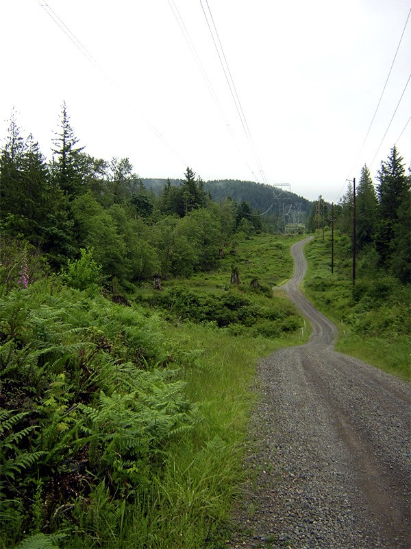 Power lines cross D Creek at the site of a proposed Puget Sound Energy substation and extension of Douglas Avenue into Snoqualmie's urban growth area. Several neighbors have questioned how the additions will change the rural character of their neighborhood. A public hearing on the extension is planned for 7 p.m. Monday