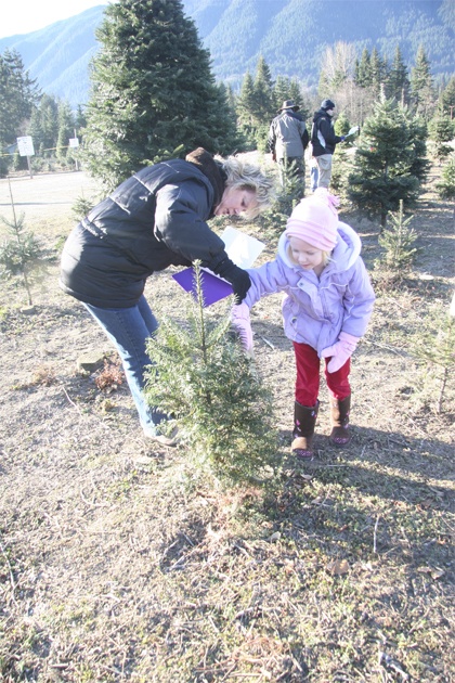 North Bend kindergartners and their families explore the math and science behind holiday trees during a visit to Crown Tree Farm.