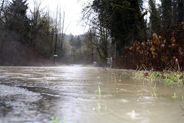 Floodwater from the rising Tolt overtops Tolt River Road in the San Souci neighborhood Sunday morning