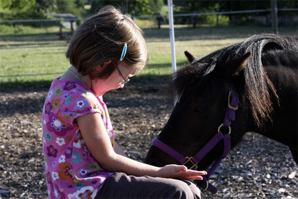 A young visitor enjoys a peaceful minute with miniature horse Shadow at Madison Grove Farm.