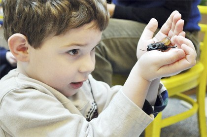 Four-year-old Henry Himmelberger holds a Madagascar hissing cockroach during a Science on Wheels enrichment class Friday