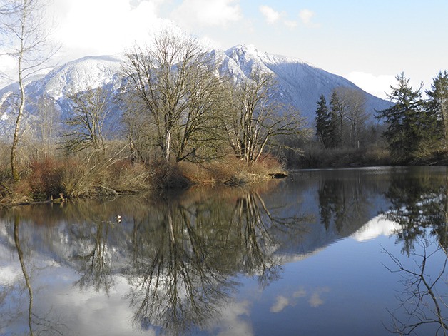 Reader photo | A snowy Mount Si from golf course slough