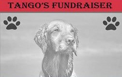 Help Sweet Tango get an MRI: Fundraiser is Saturday at North Bend Moose lodge