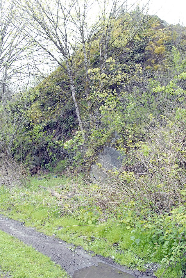 North Bend reneges on swing rock study Snoqualmie Valley Record