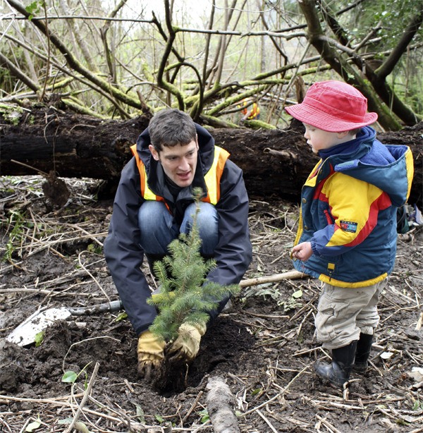 Volunteers add better kind of green to North Bend's Tollgate Forest