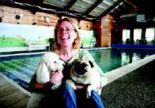 A little piece of heaven on earth - for pets