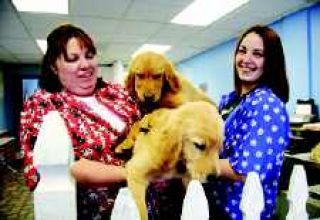 New pet grooming business gets its hands dirty