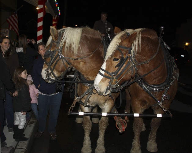 Riders get a closer look at Belgian horses Bonnie and Belle—and vice versa—during Snoqualmie's weekend holiday celebrations. Carmichael's Hardware sponsored the rides for the second year.