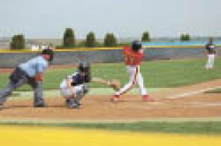 Busy summer for Wildcat baseball players