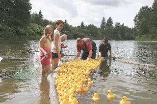 As winning ducks float down the Snoqualmie River