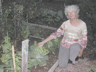 Elaine Harger of Snoqualmie grows green veggies at the Snoqualmie public Pea Patch