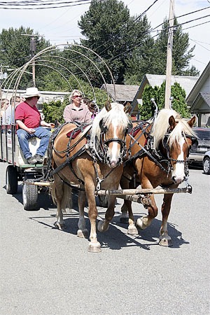 Take an old-time ride during draft horse-and-wagon excursions