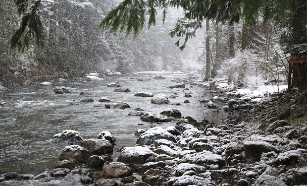 Snow begins to stick on the South Fork of the Snoqualmie River in the January 2012 snowstorm in this image by Riverbend resident and Record reader Bill Cottringer. Cottringer’s shot was voted the first place winner in last year’s community Photo Contest. The contest returns this winter. Submit your shots of Valley people