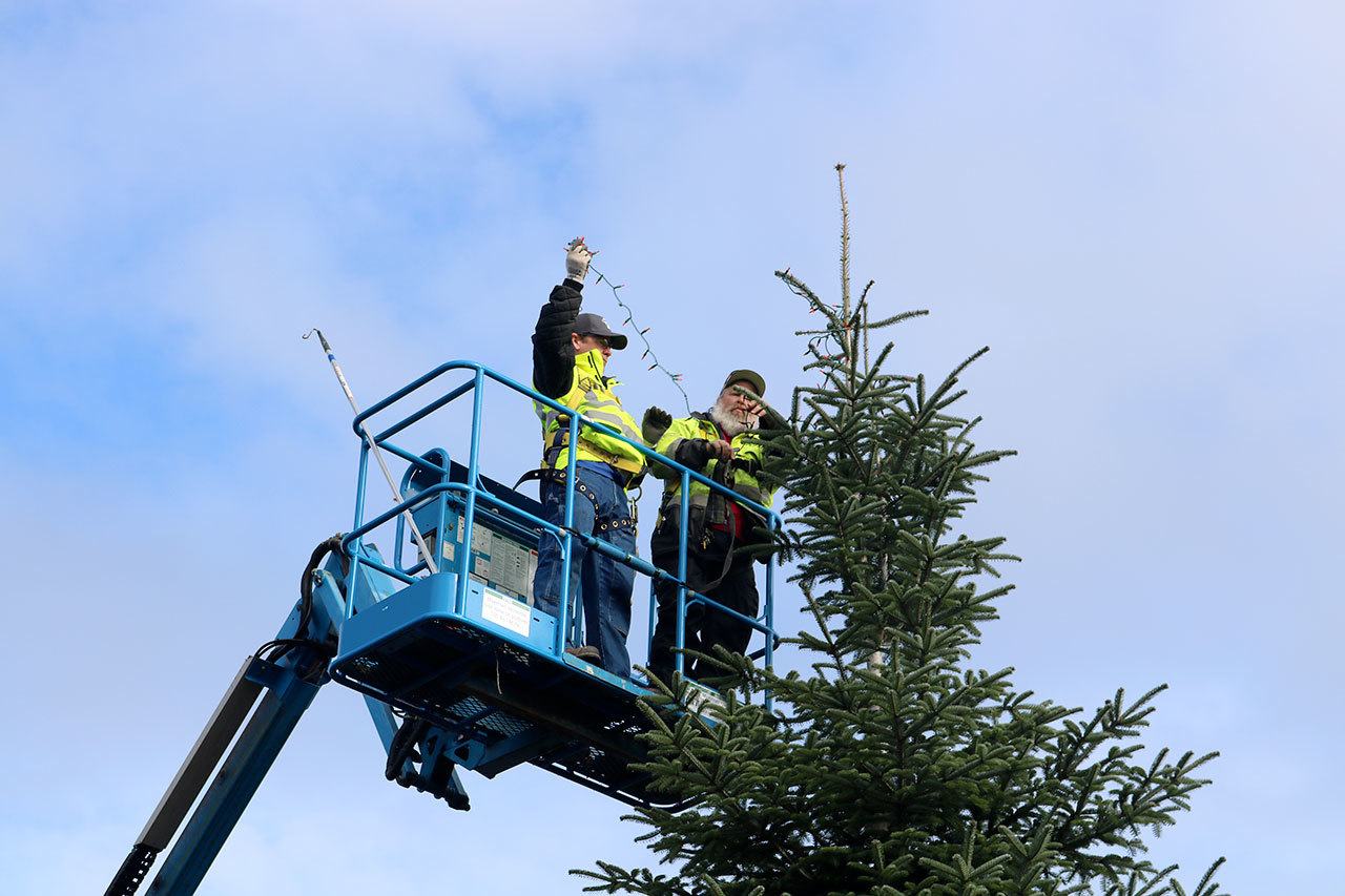Snoqulamie Parks sttaffers Scott MacVikar and Shane Will got an early start in dcorating downtown Snoqualmie’s streets and Railway Park, to be ready in time for the city’s tree lighting event Nov. 26. (Evan Pappas/Staff Photo)