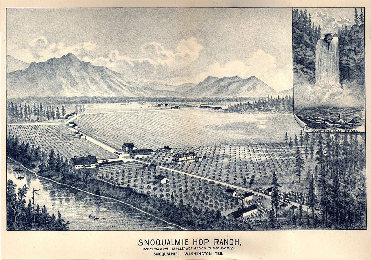 The oldest known image of the Meadowbrook Farm property is an artist’s rendition of the Snoqualmie Hop Ranch in 1889. (Image courtesy of Snoqualmie Valley Historical Museum)