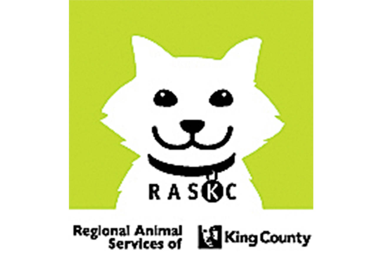 King County Animal Services begin pet licensing outreach efforts