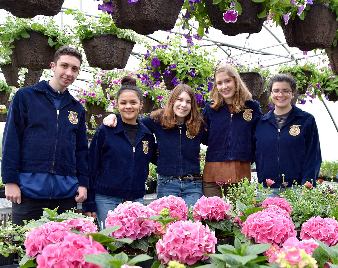 Carol Ladwig/Staff Photo                                Cedarcrest High School FFA members are preparing for their plant sale, starting this week with a preview party Thursday, followed by two weekends of sales, Fridays and Saturdays. Pictured from left are freshmen Calvin Leffard and Valeria Martinez, and seniors Nicole Hagens, club vice-president, Meg Knox, treasurer, and Zakya Misallati, chapter reporter.