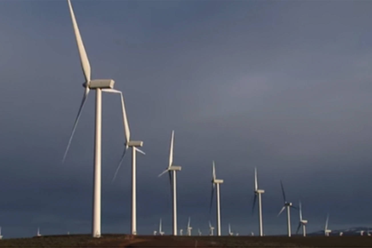 City signs up for all-wind power
