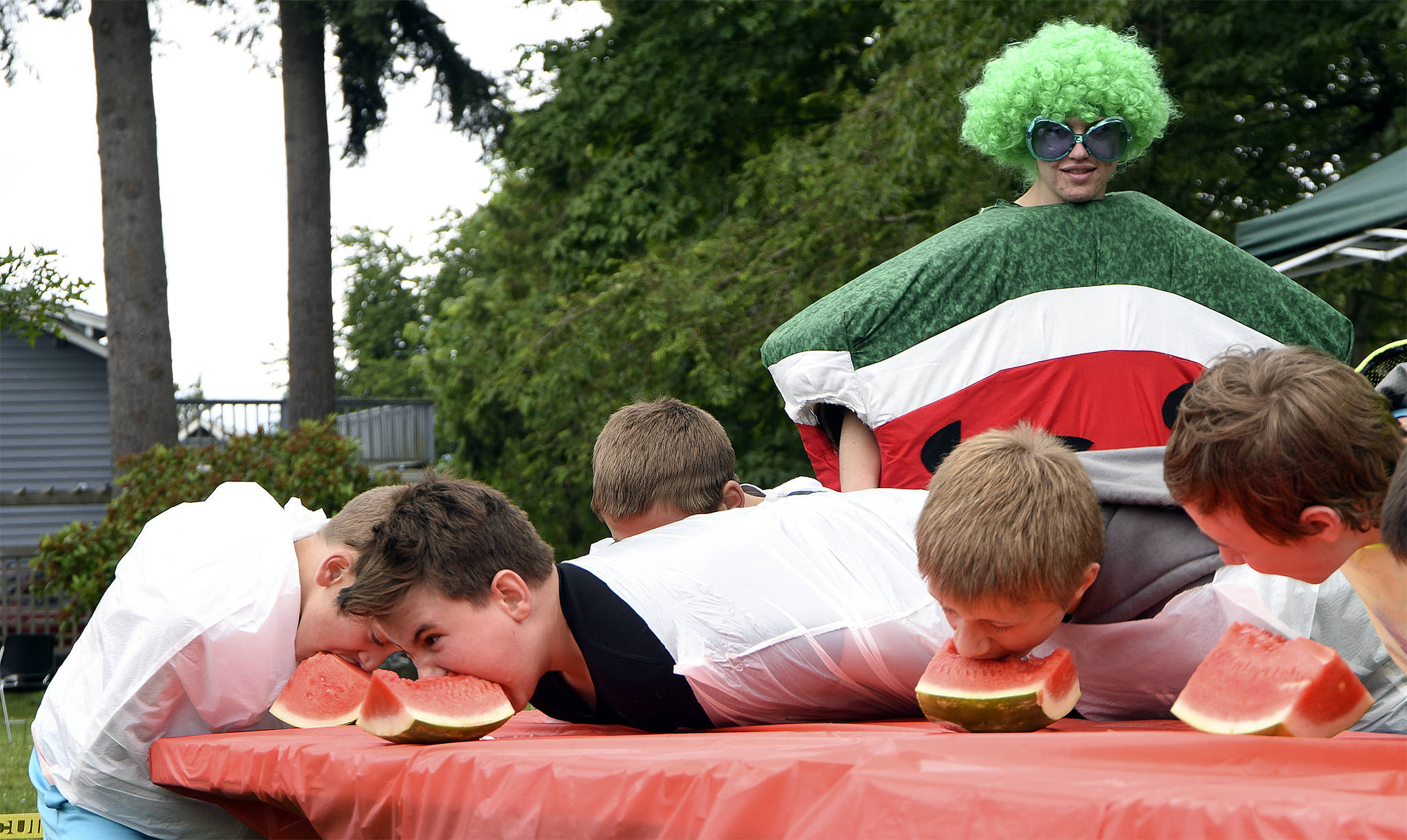 A challenger at the 2016 watermelon-eating contest chases his melon as it slides across the table. The watermelon eating contest starts at 1:30 at Olive Taylor Quigley Park this Saturday.                                File Photo