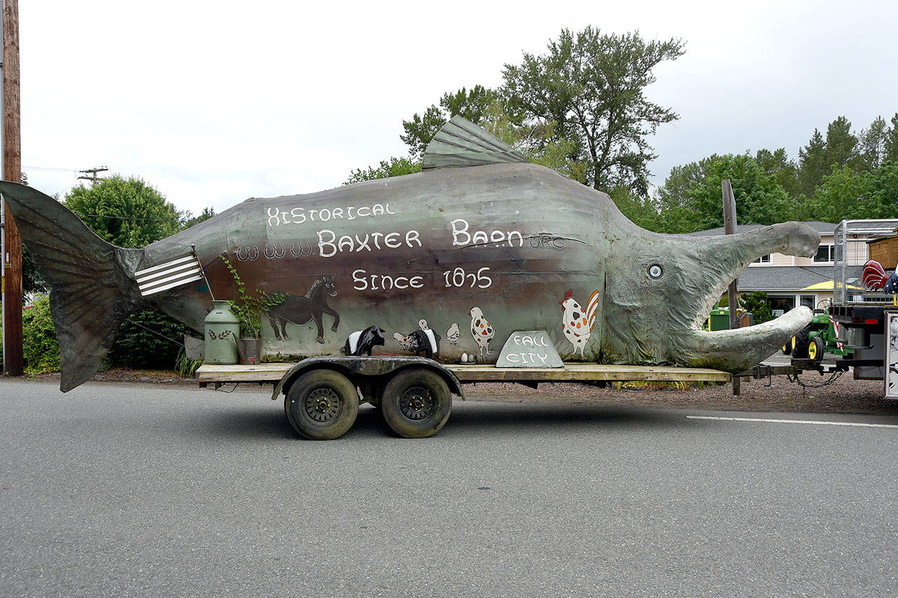 Bubbles, the Baxter Barn salmon float, reappeared in the 2017 Fall City Day parade. Carol Ladwig/Staff Photo
