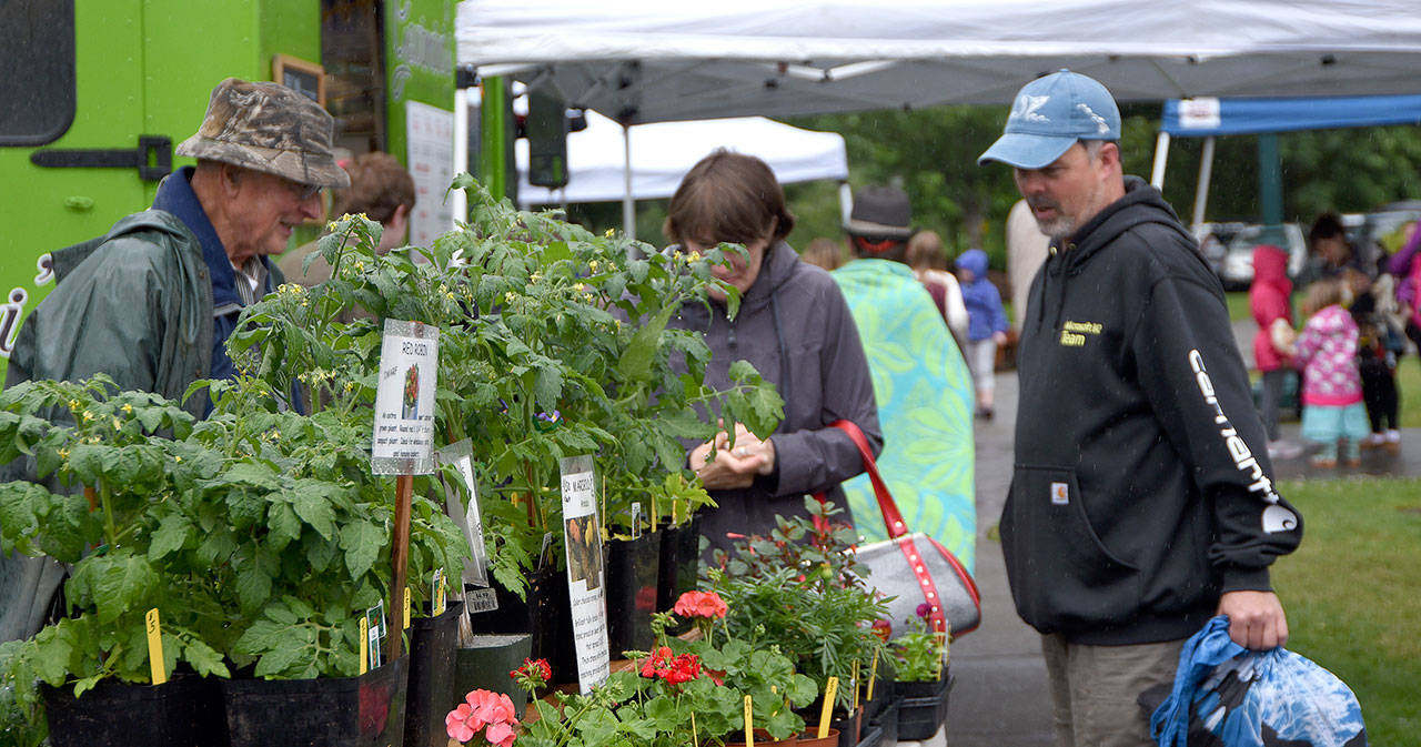 Shoppers examine plants from a North Bend greenhouse at the North Bend Farmers Market.                                Carol Ladwig/Staff Photo