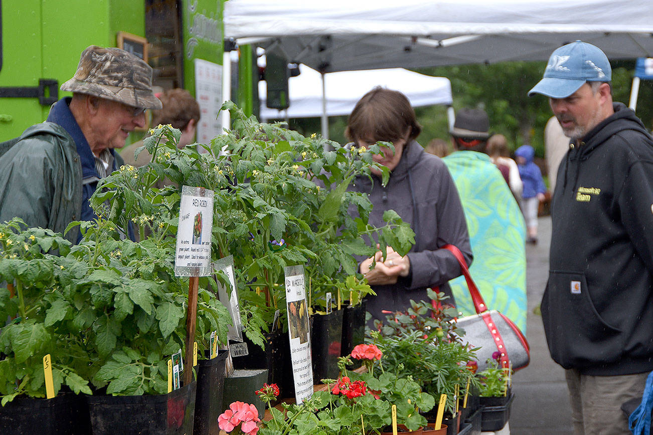 North Bend Farmers Market celebrates opening day; full season of food, music and community ahead