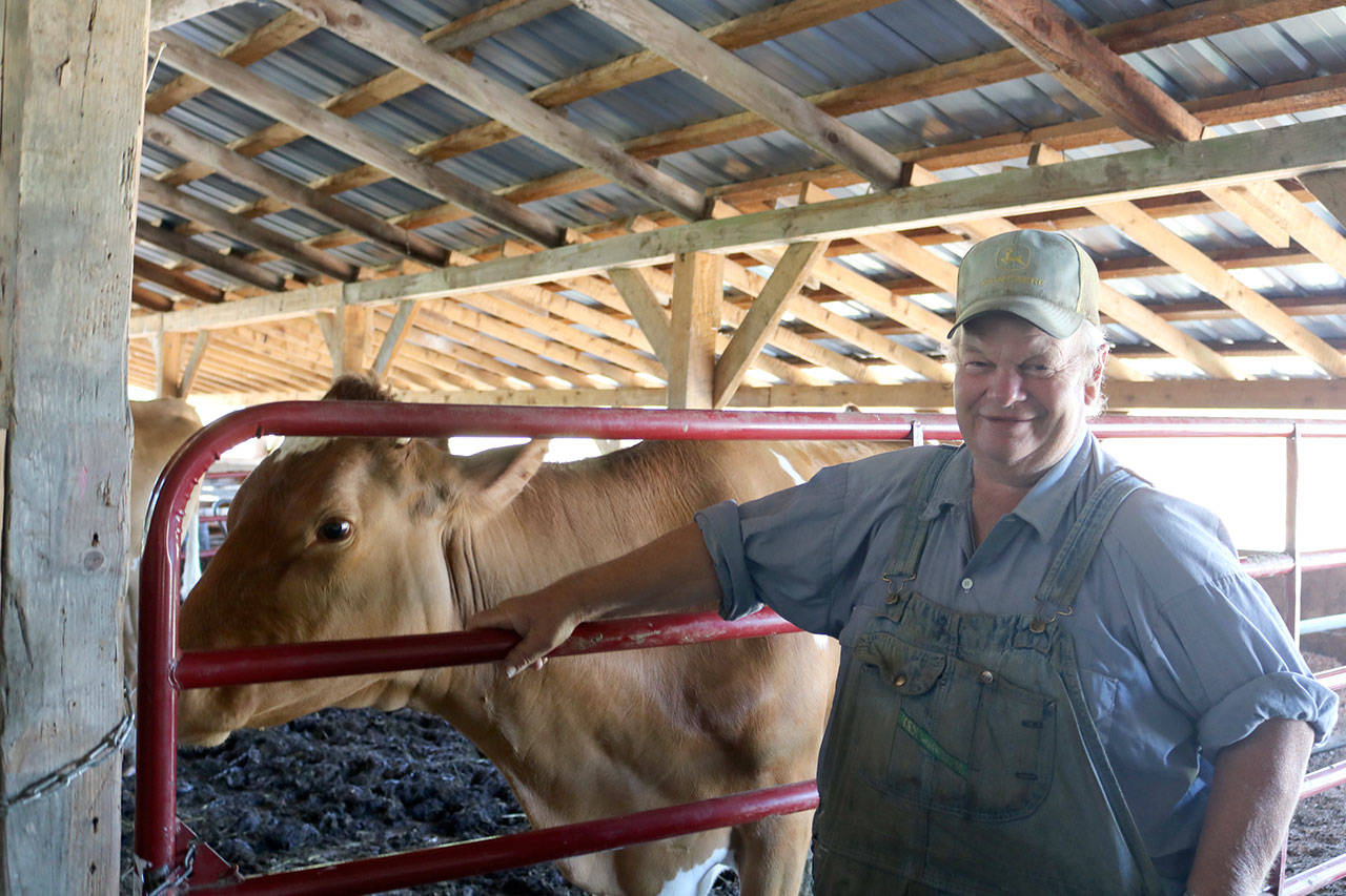 Magnochi inside his barn in Carnation. (Evan Pappas/Staff Photo)