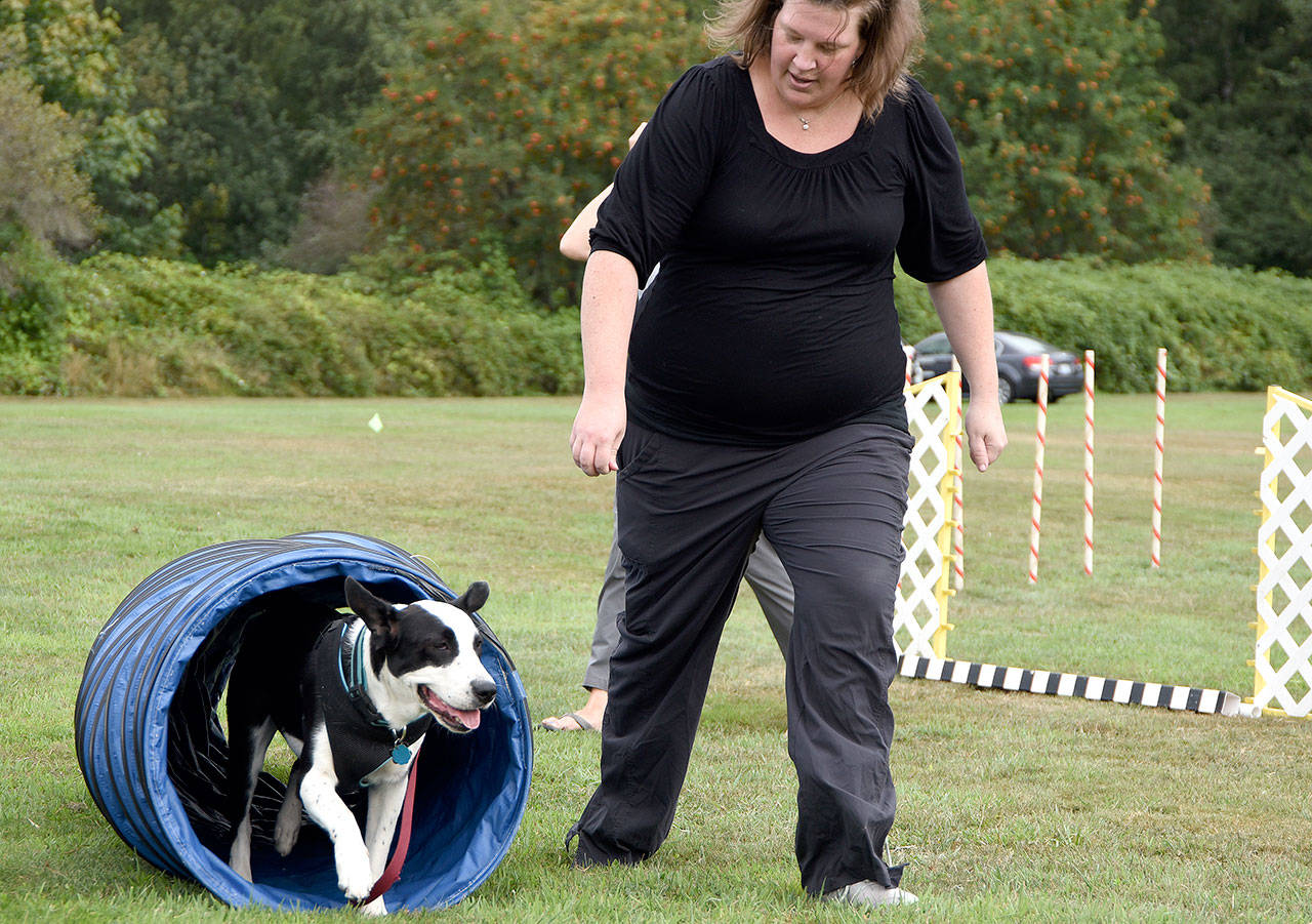 Kristina Spencer of Issaquah and her dog Evee do the agility course sponsored by Riverdog. (Carol Ladwig/Staff Photo)