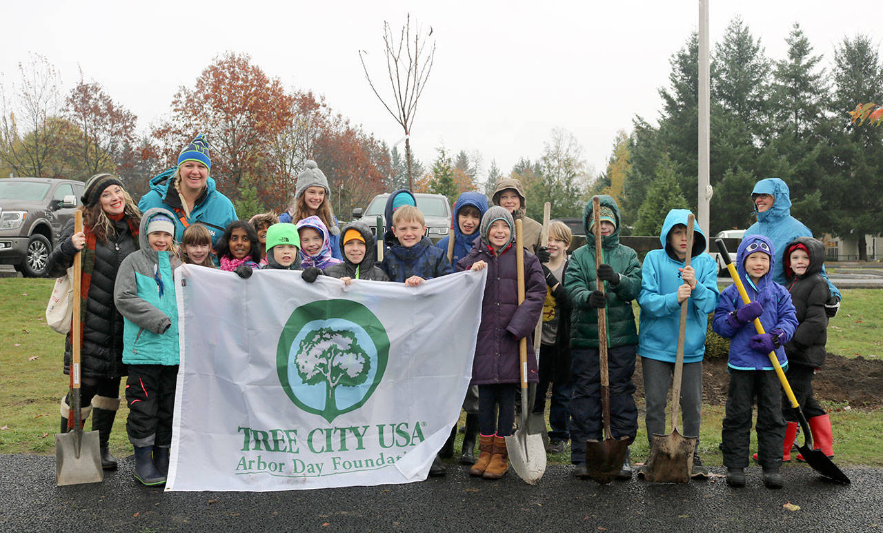 Volunteers pose with the Tree City USA banner before getting to work on planting trees on Friday, Nov. 3. (Evan Pappas/Staff Photo)