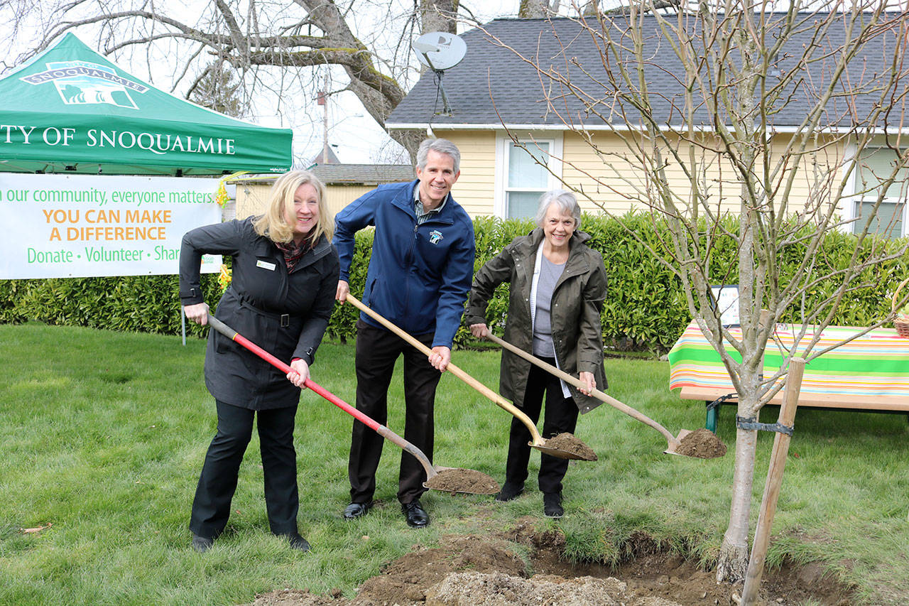 The Snoqualmie Valley Food Bank’s tree is planted in the Snoqualmie Sister Cities Park. From left: SVFB Executive Director Heidi Dukich, Mayor Matt Larson, SVFB Vice President Nancy Jones. Evan Pappas/staff photo
