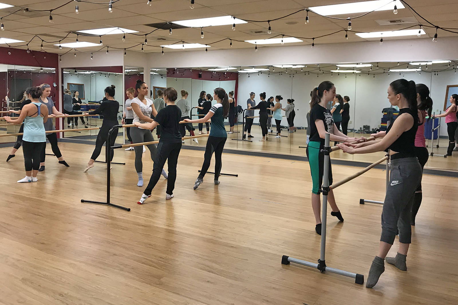 A true neighborhood studio, Crescendo Dance Academy offers classes for children, youth and adults, in addition to a competitive dance program and an Artist in Residence program.