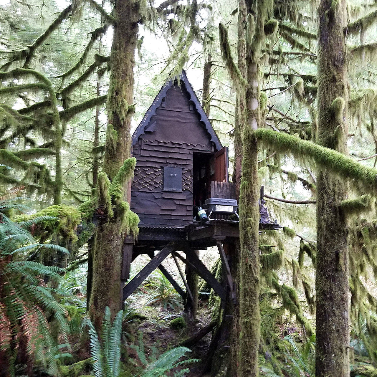 The cabin is located 8 miles up Southeast Middle Fork Road and is known within the hiking community. Photo courtesy of King County Sheriff’s Office