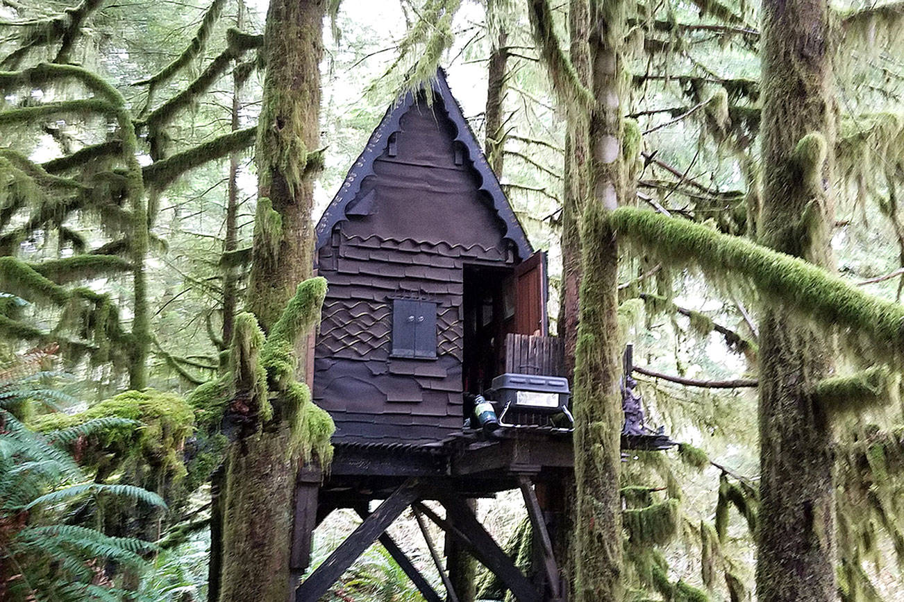 Man charged after child porn found in Snoqualmie National Forest tree house