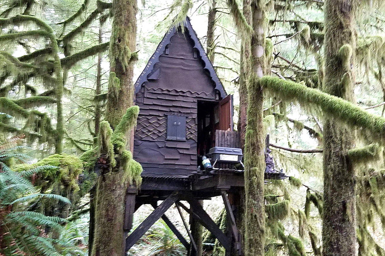The cabin is located 8 miles up SE Middle Fork Road and is known within the hiking community. (King County Sheriff’s Office)