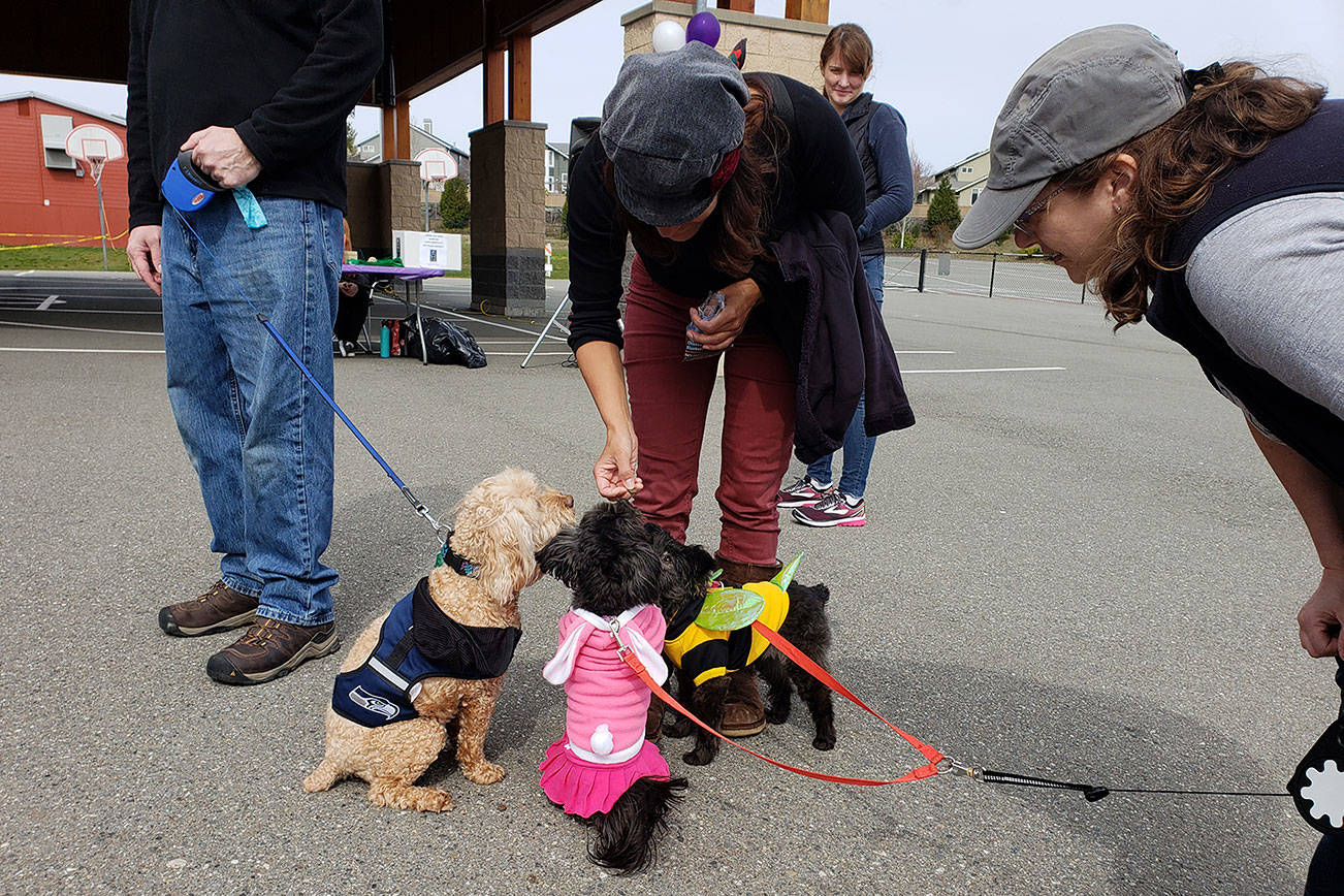 Mount Si students host fourth Bark for Life cancer research fundraiser
