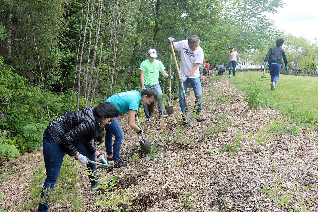 Valley volunteers help remove invasive plants from Stillwater Bog