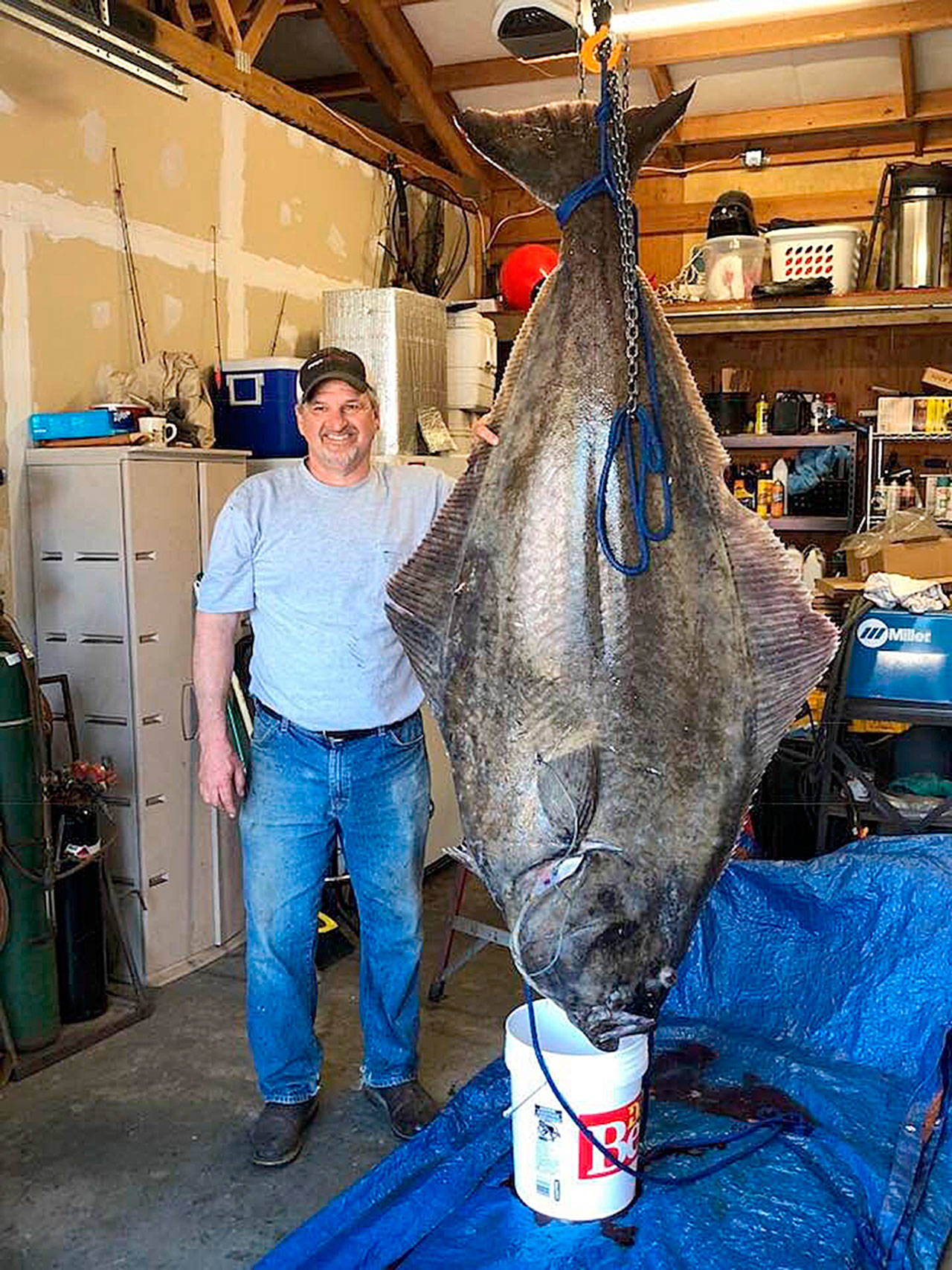 Photo submitted                                Tom Hellinger stands next to a halibut he caught in Puget Sound.