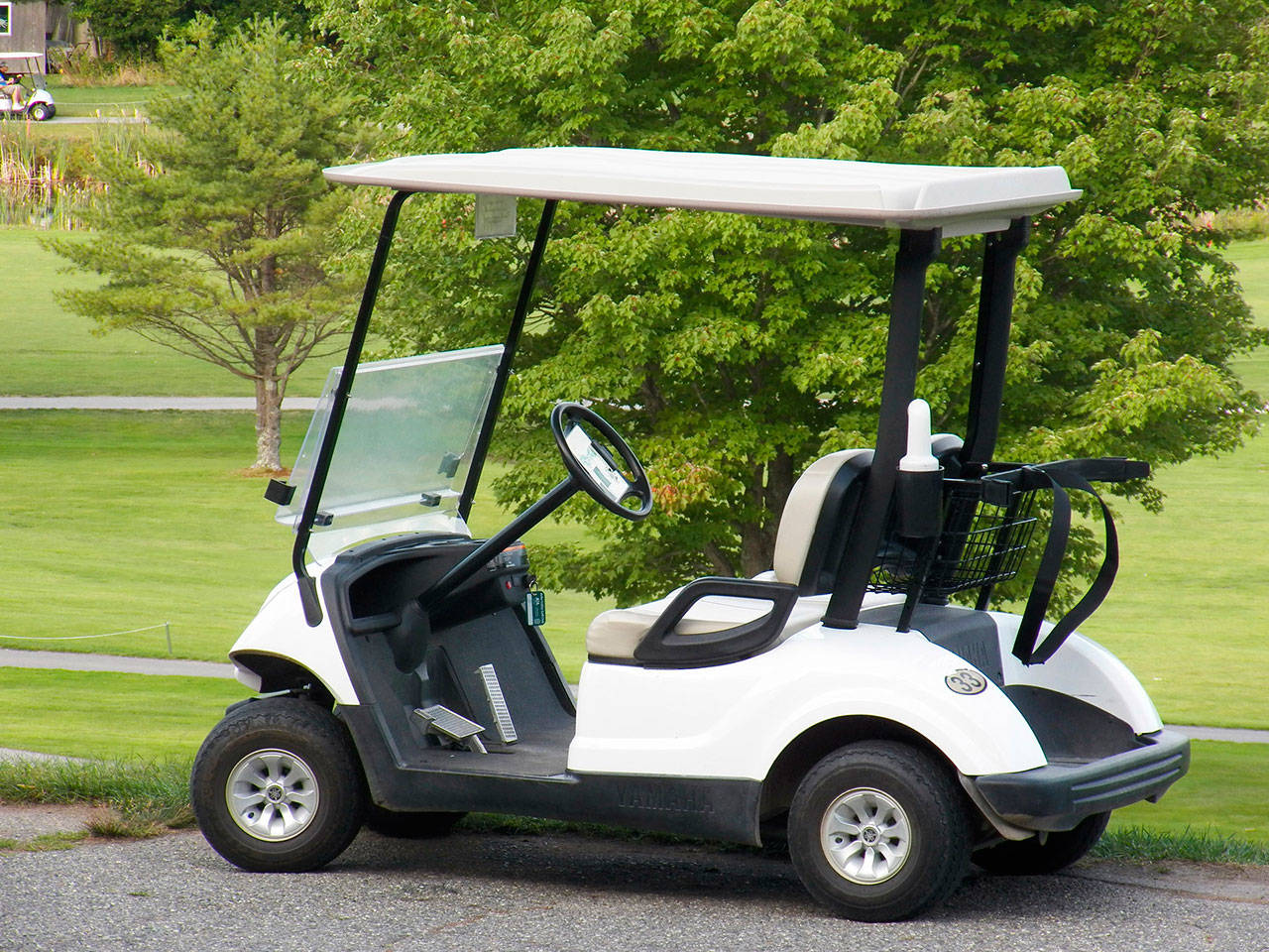 Unknown suspects recently broke into Cascade Golf Course in North Bend and stole three golf carts. Courtesy photo