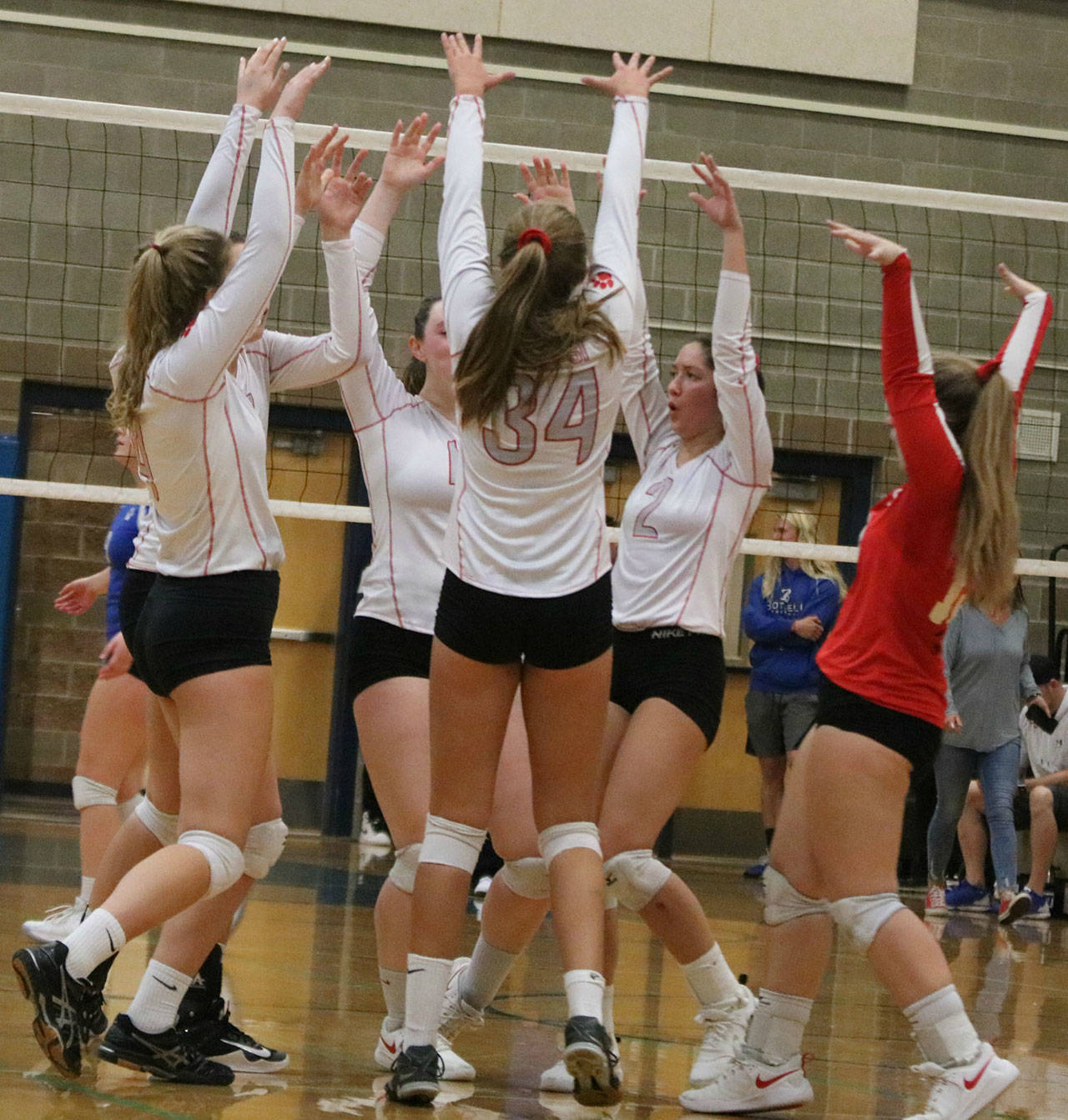 Mount Si volleyball players celebrate a point against Bothell. Andy Nystrom / staff photo