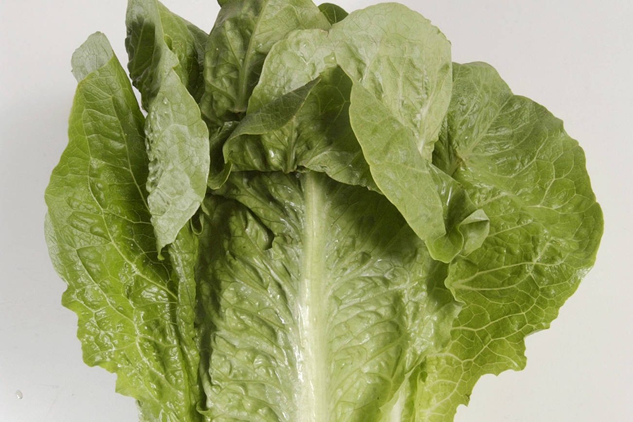 Romaine lettuce, beef recalled just before Thanksgiving