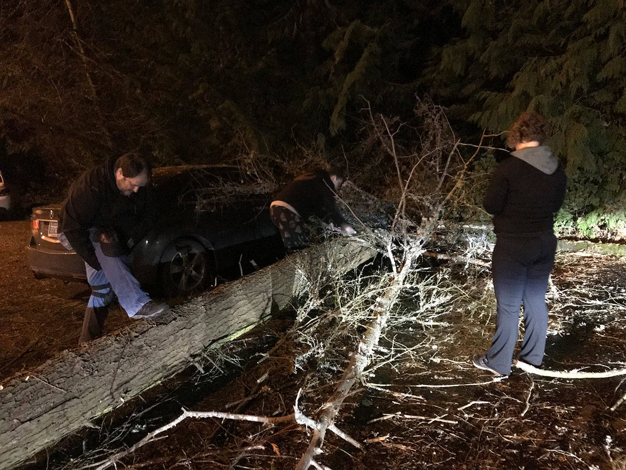 Residents on Finn Hill in Kirkland work together to trim branches off of a felled tree that landed in their complex parking lot during a windstorm on Dec. 14. Samantha Pak/staff photo