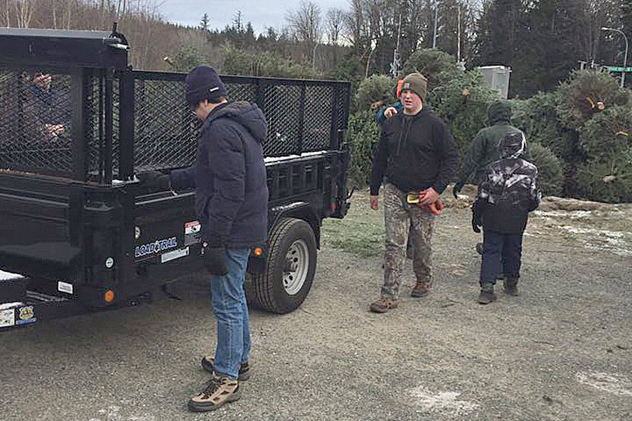 Local Boy Scout Troops 115, 425, and 466 will be picking up the trees within the North Bend, Snoqualmie and Fall City areas on Saturday, January 5 from 9 a.m. - 4 p.m. Photo courtesy of Boy Scout Troop 466