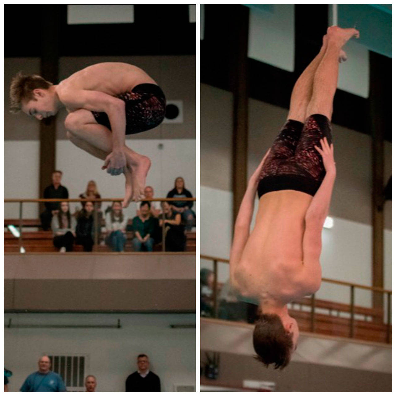 Levi Shriner is Mount Si’s first-ever diver and has qualified for the district event. Photos courtesy of David Aramaki