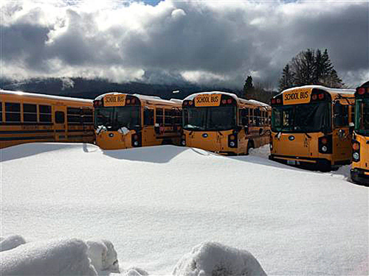 SVSD bus yard following snowstorm. Photo courtesy of Snoqualmie Valley School District.