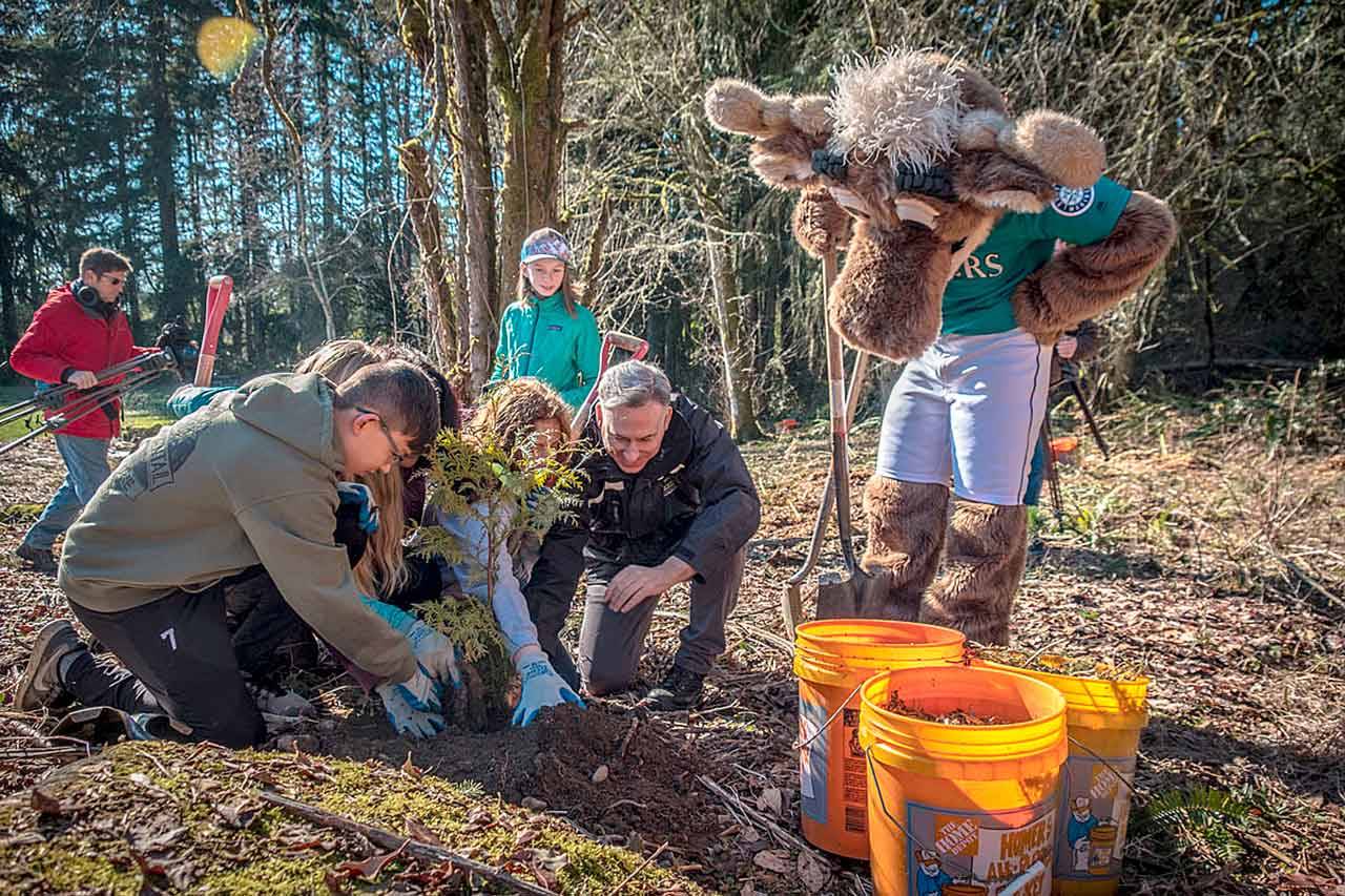 Volunteers gathered at Big Finn Hill Park in Kirkland for the ceremonial tree planting day on Feb 27. King County Executive Dow Constantine thanked everyone who’s contributed to the milestone for the One Million Trees initiative. Photo courtesy of King County.