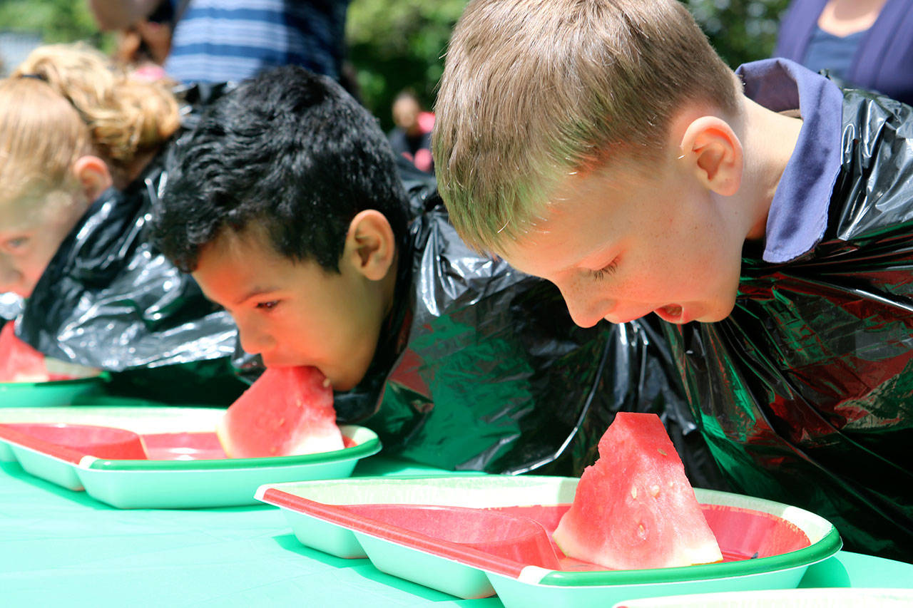 Caleb Christensen leans in to take a big bite during the 2017 watermelon eating contest. Christensen was the winner the five to seven age group for the third year in a row. (Evan Pappas/Staff Photo)